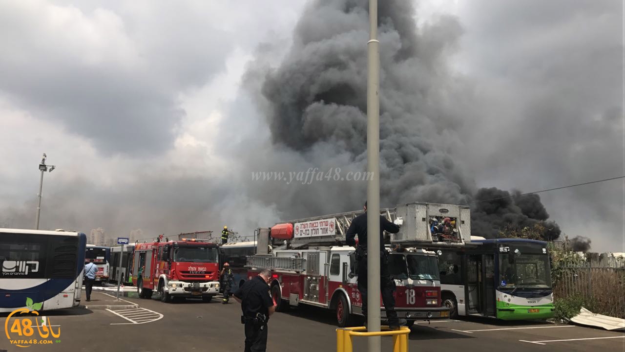 firbus eastyaffa (1).jpg